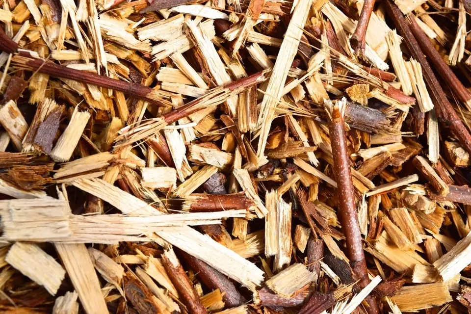 Lot de 10 filets d'allume-feu